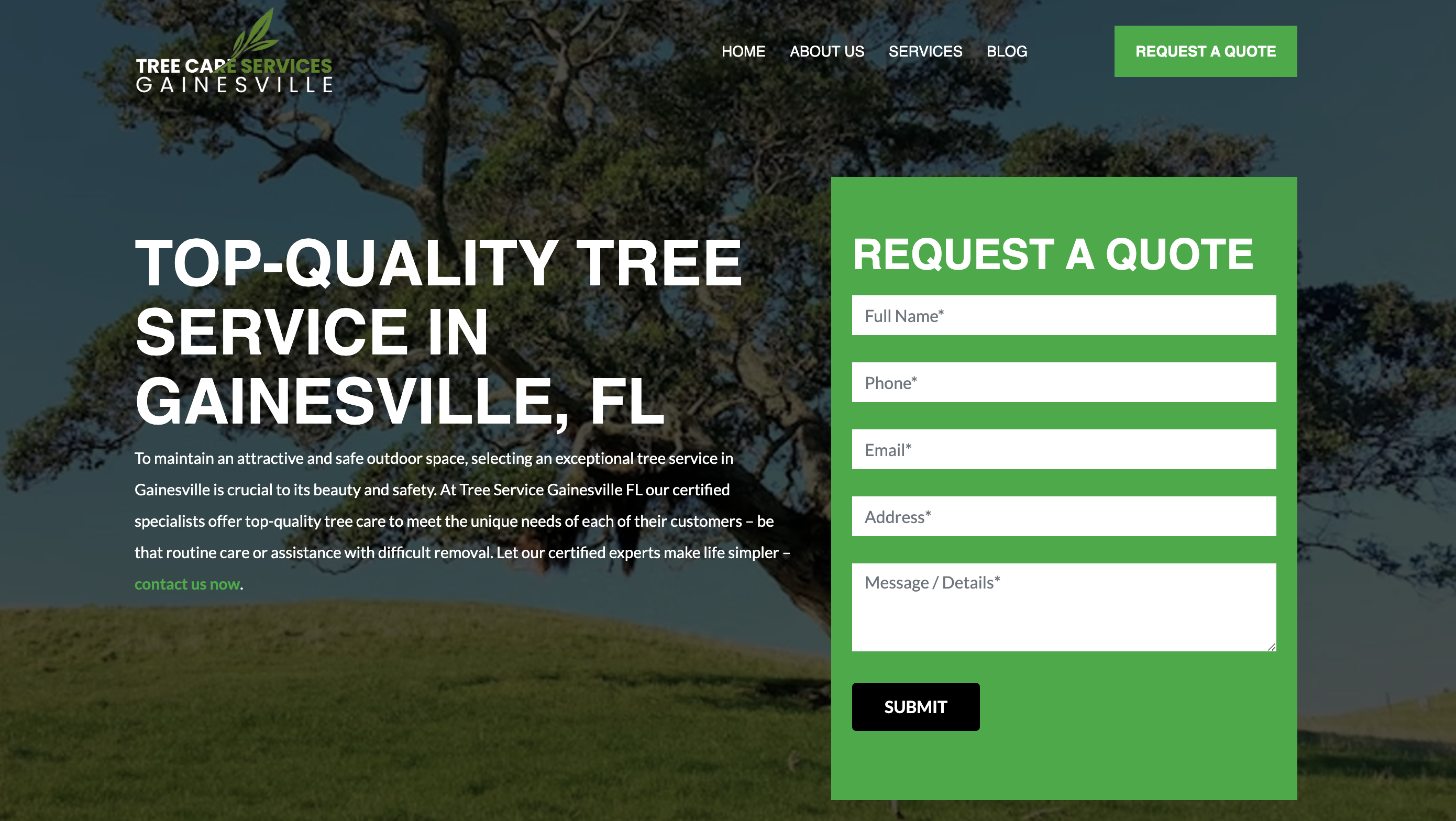 Tree Care Services Gainesville